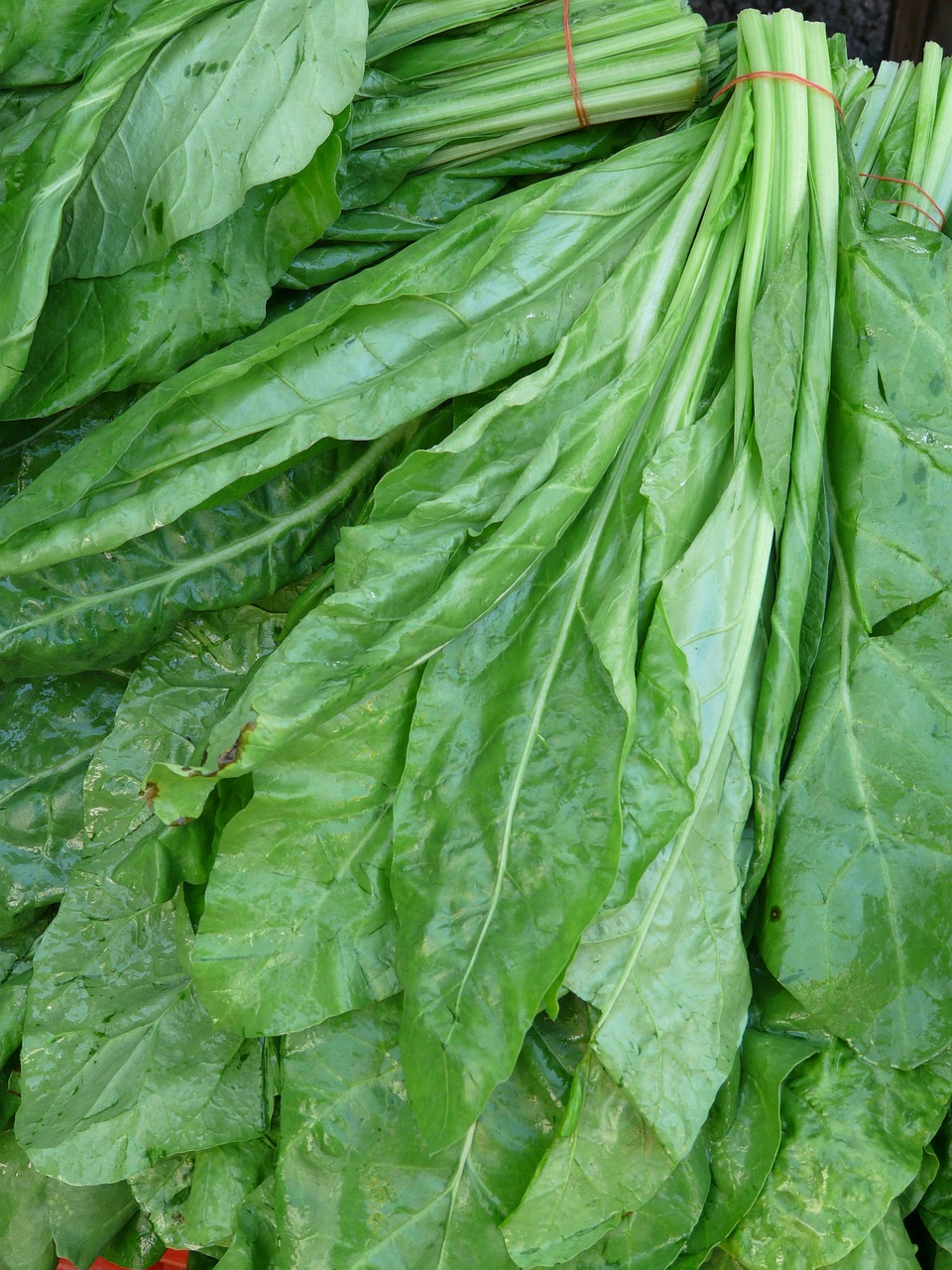 Palak