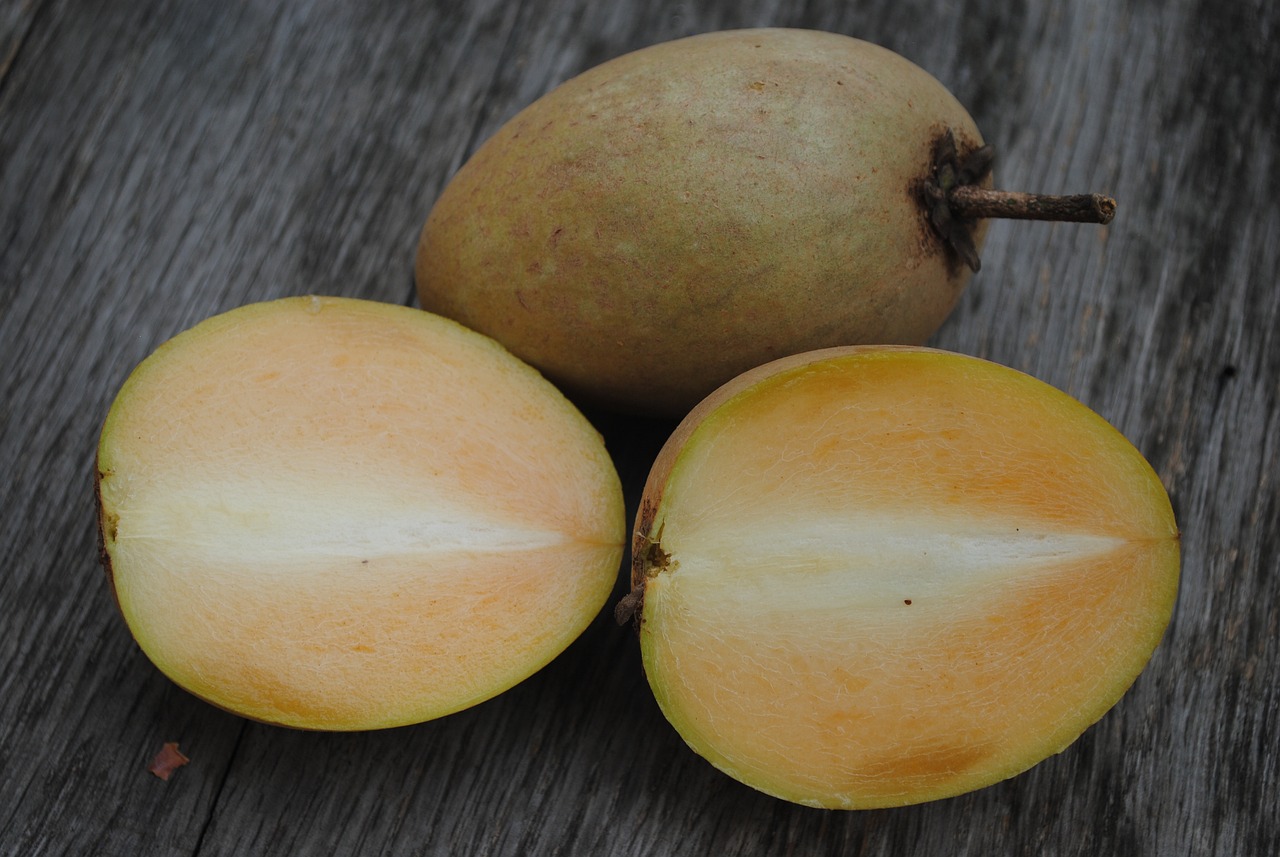 Sapota